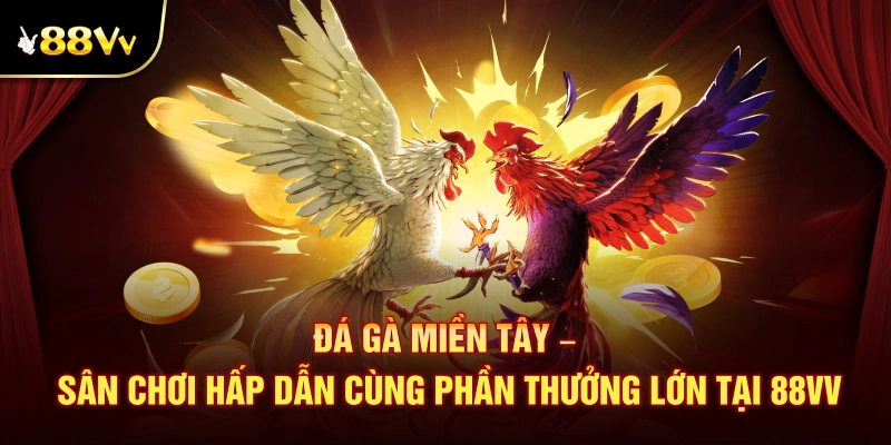 Đá gà miền Tây 88VV – Khám phá trường đấu cá cược đỉnh cao