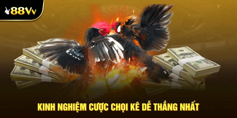 Kinh nghiệm cược chọi kê dễ thắng nhất được 88VV tổng hợp