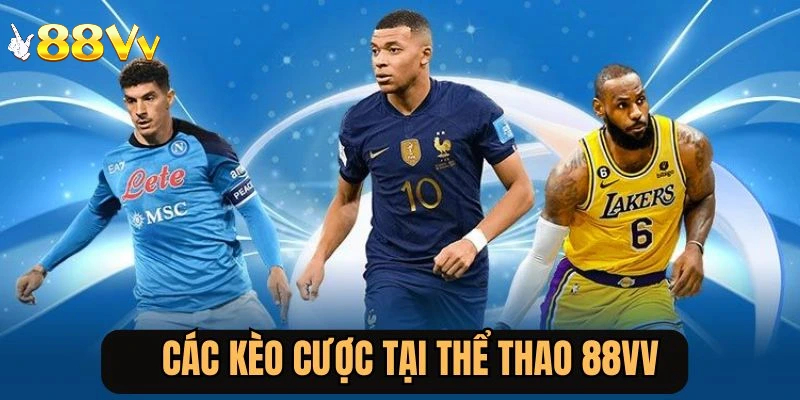 Hội viên có thể lựa chọn nhiều bộ môn khác nhau để đặt cược